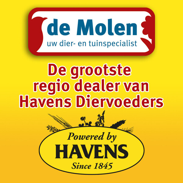 image Aanbieding 3