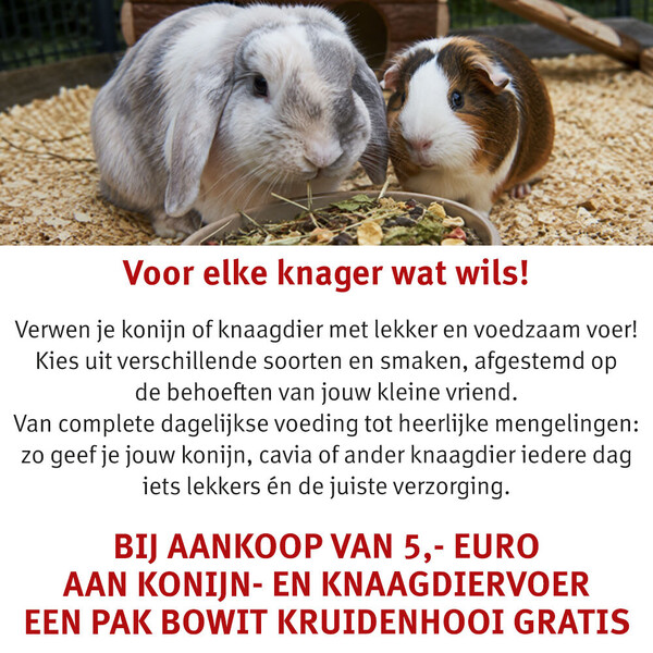 image Aanbieding augustus 2026-2