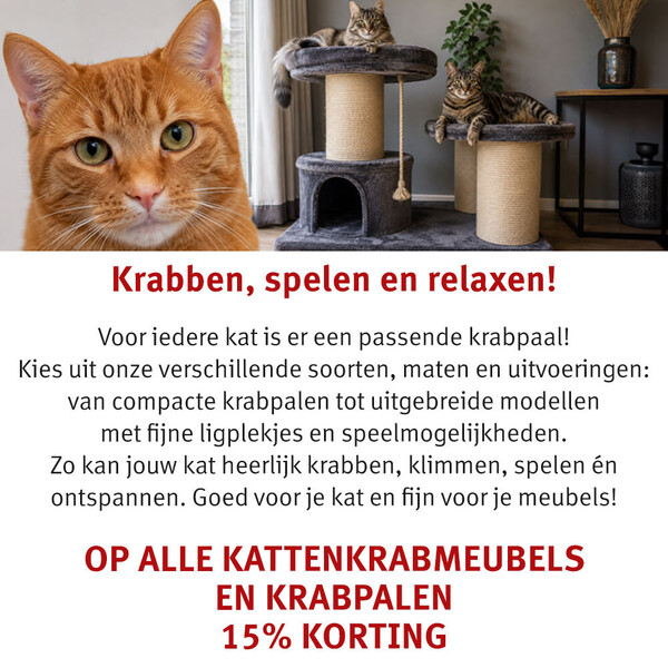 image Aanbieding augustus 2026-3