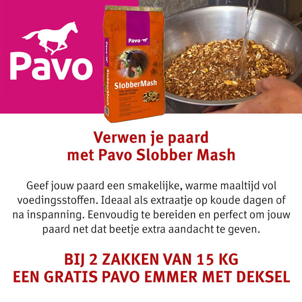 image Aanbieding december 2025-4