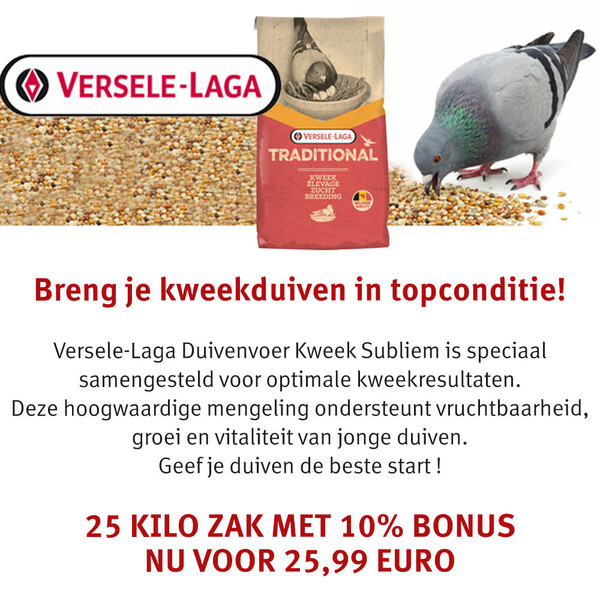 image Aanbieding januari 2026-2