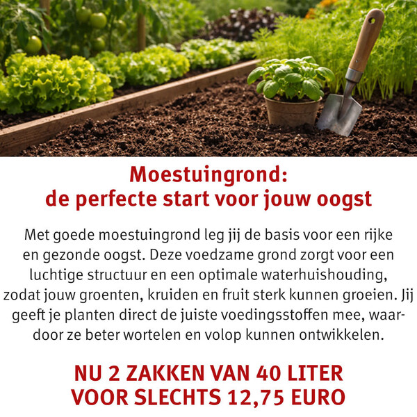 image Aanbieding maart 2026-2