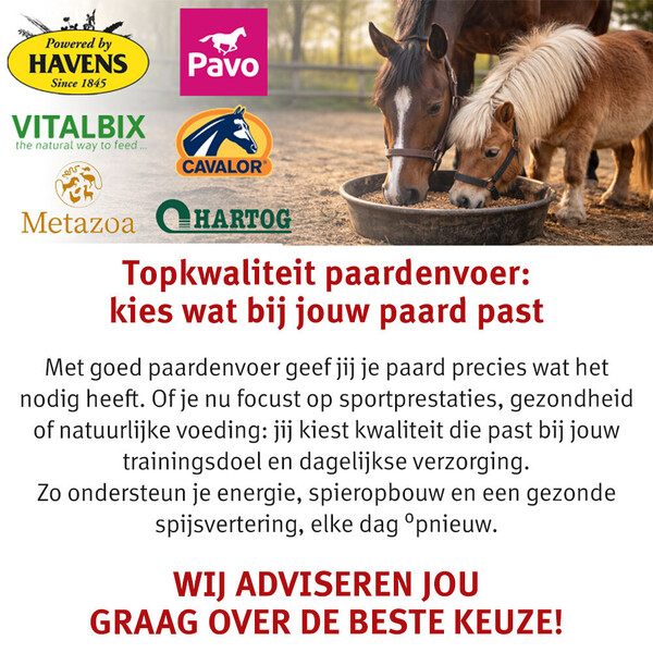 image Aanbieding maart 2026-4