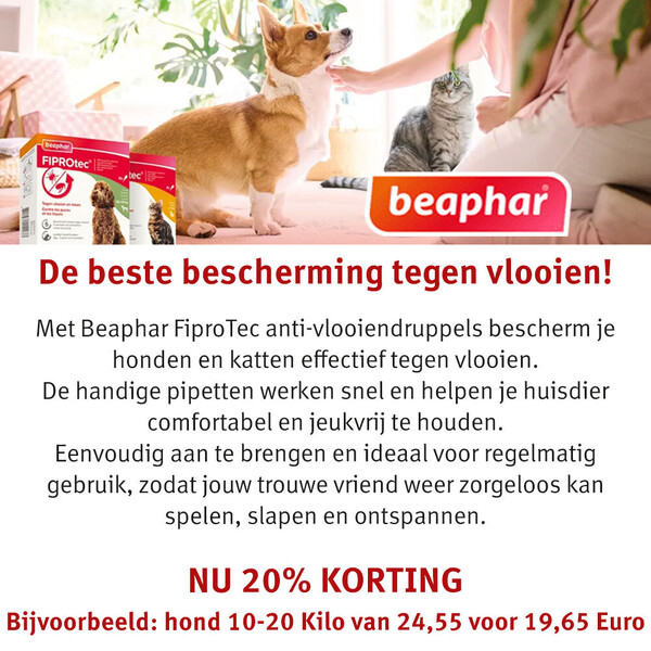 image Aanbieding mei 2026-2-4