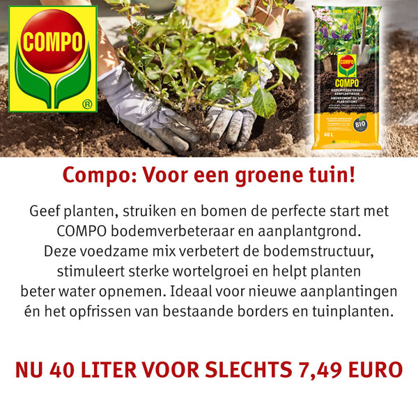 image Aanbieding mei 2026-2-1