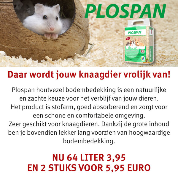 image Aanbieding mei 2026-4
