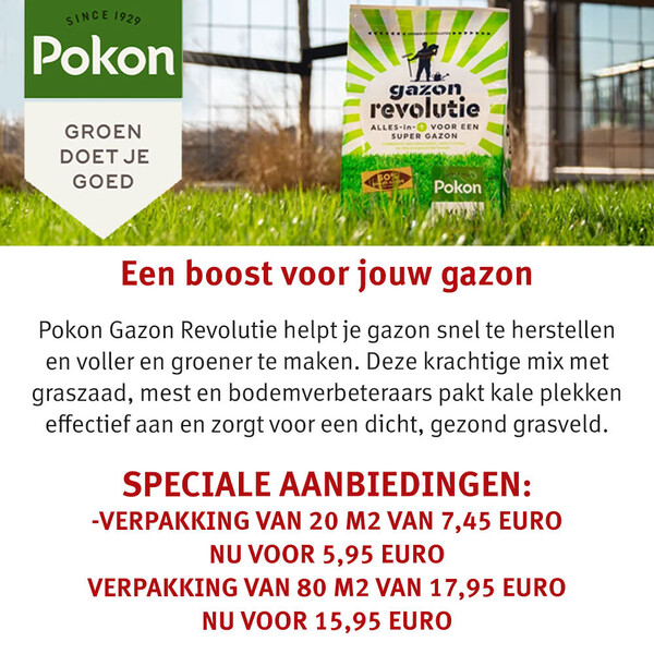image Aanbieding mei 2026-3