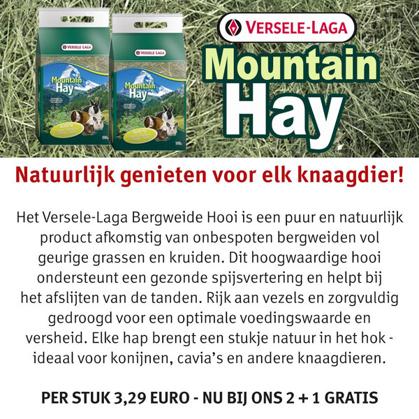image Aanbieding november 2025-2