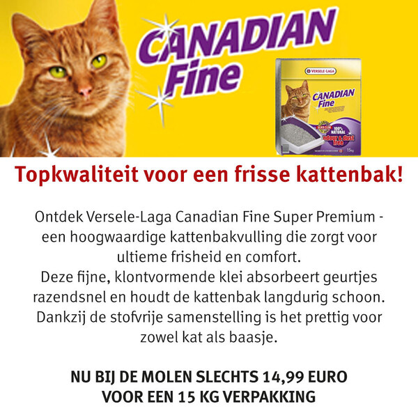 image Aanbieding november 2025-1