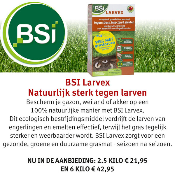 image Aanbieding september 2025-1