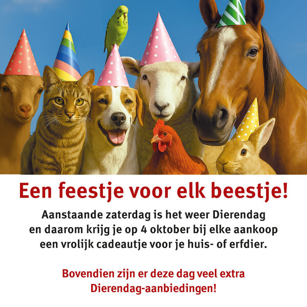 image Dierendag 2025