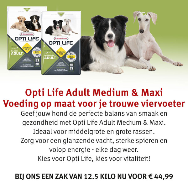 image Aanbieding september 2025-2