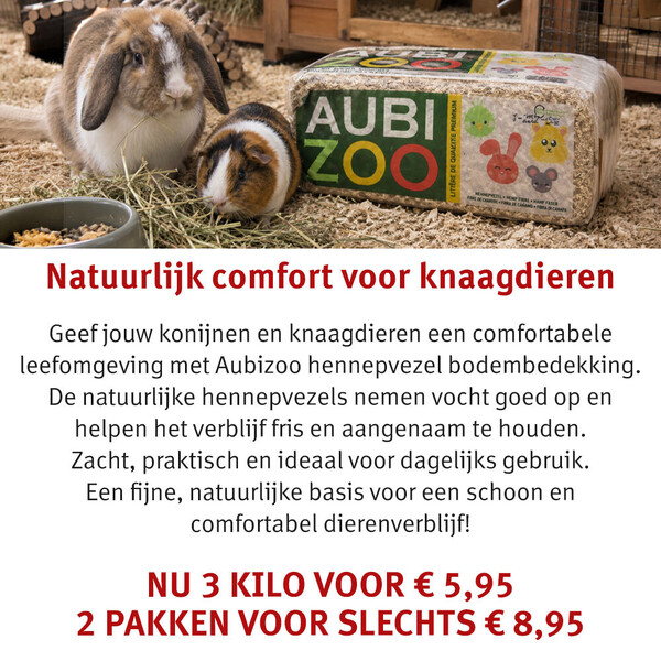 image Aanbieding september 2026-3