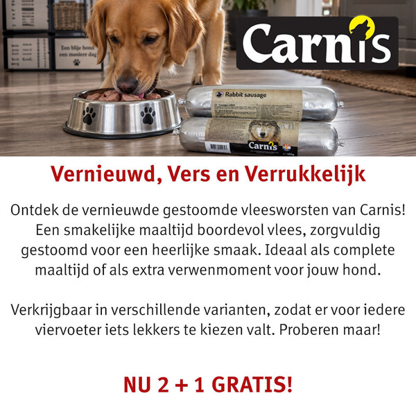 image Aanbieding september 2026-1
