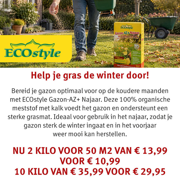 image Aanbieding september 2026-5
