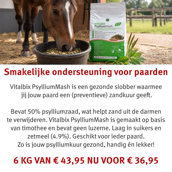 image Aanbieding september 2026-4